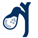 extraccion de calculos via bilear icono azul 